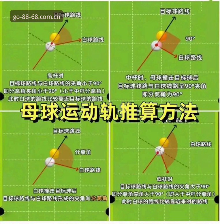 体育安卓版哪个好 8868体育平台新手教程:体育安卓版哪个好的完整指南